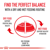 FHN KITTEN LATA - BALANCE PERFECTO